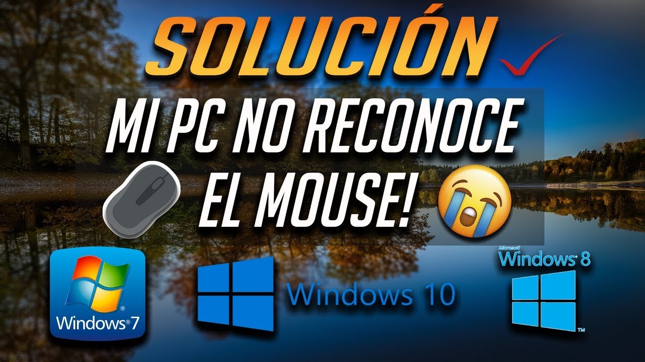 Mi PC No Reconoce el Mouse o Prende pero No se Mueve [6 Soluciones 2026]