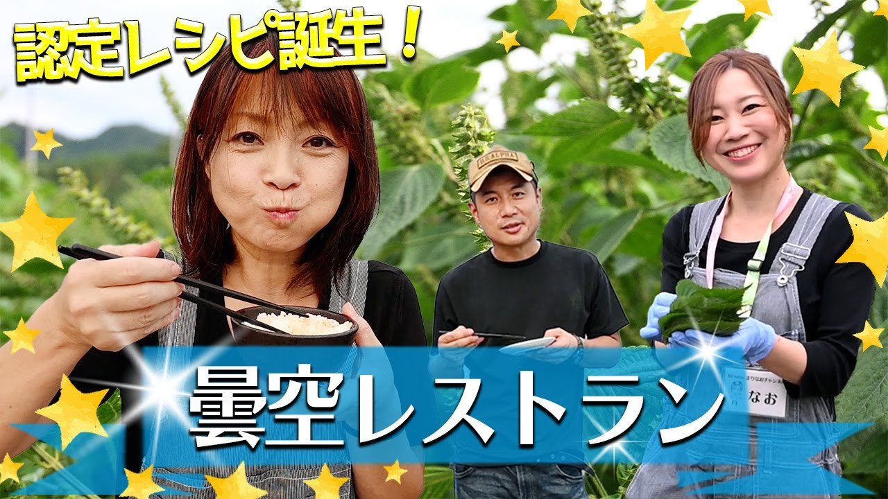 【えごま栽培#5】栽培中のエゴマの葉を食べてみた！エゴマの葉を使った美味しいレシピ紹介します