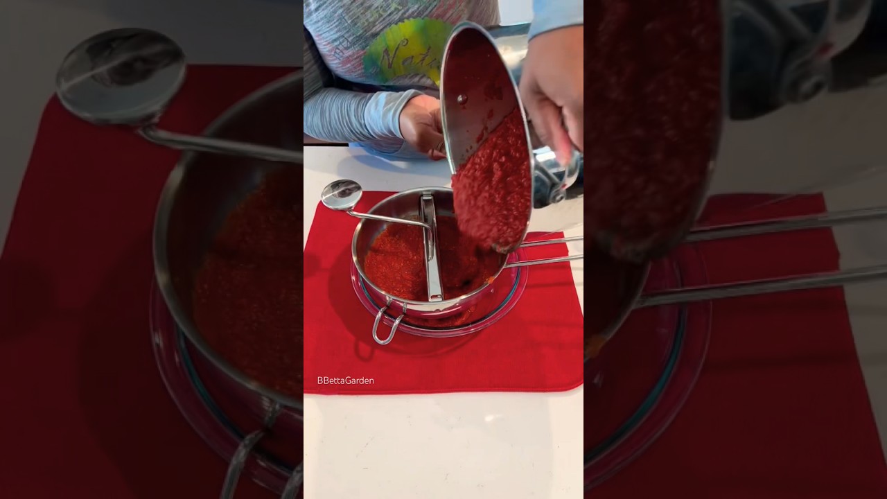 Homemade tomato sauce (removing seeds)