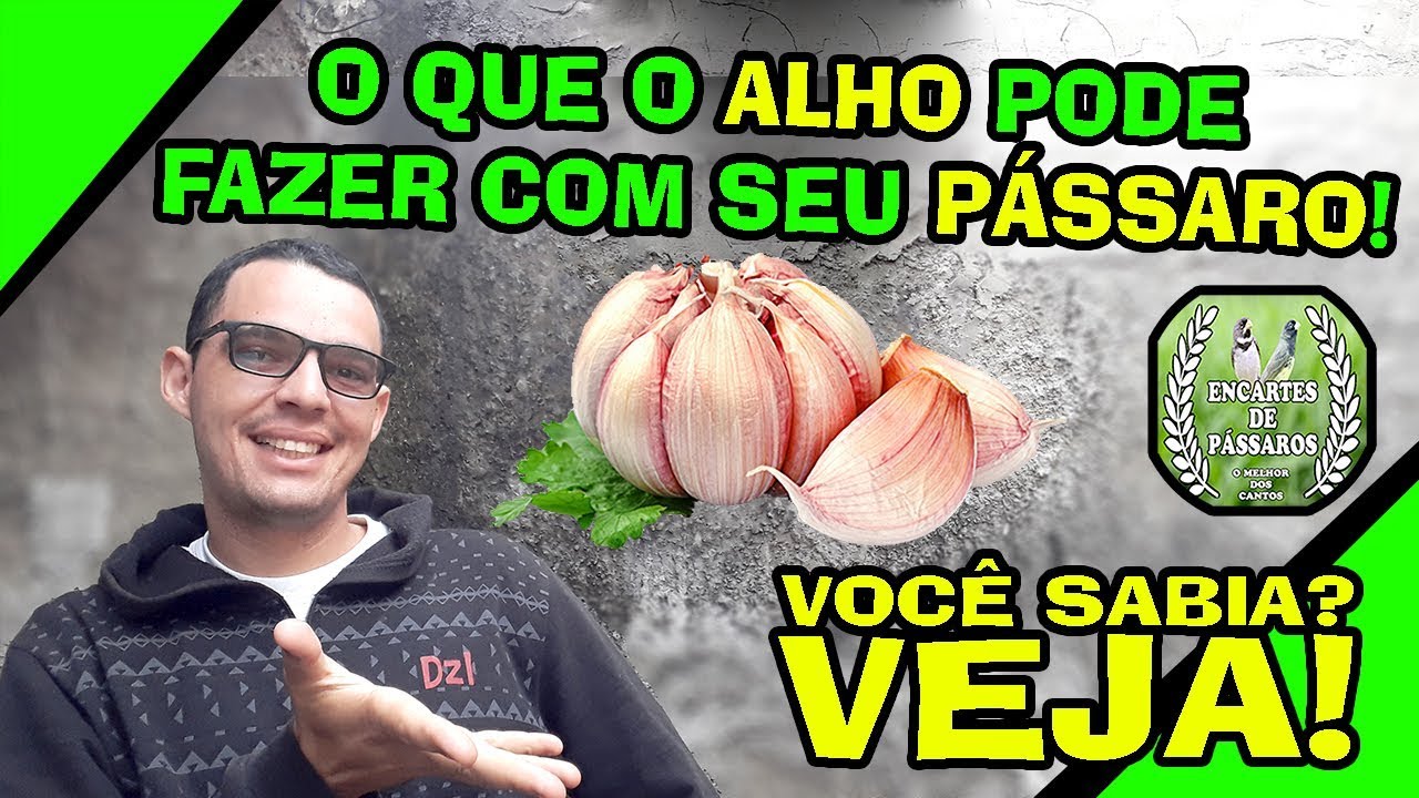 Olha o Que o Alho Pode Fazer com Seu Pássaro