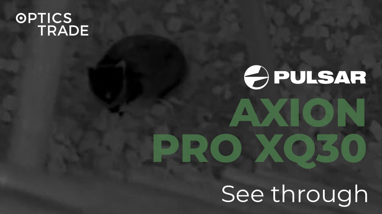 Cat under Lookout with Pulsar Axion XQ30 Pro | Optics Trade See Through