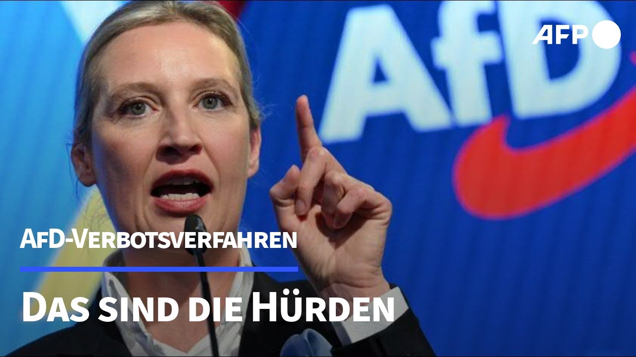 Neue Debatte um AfD-Verbotsverfahren | AFP