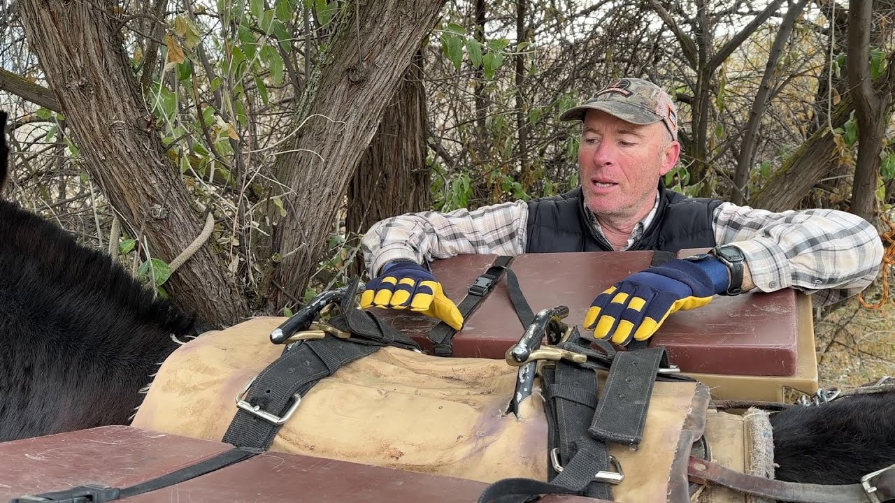 How To Rig And Load Pack Boxes On Your Pack Animal, My Favorite Method