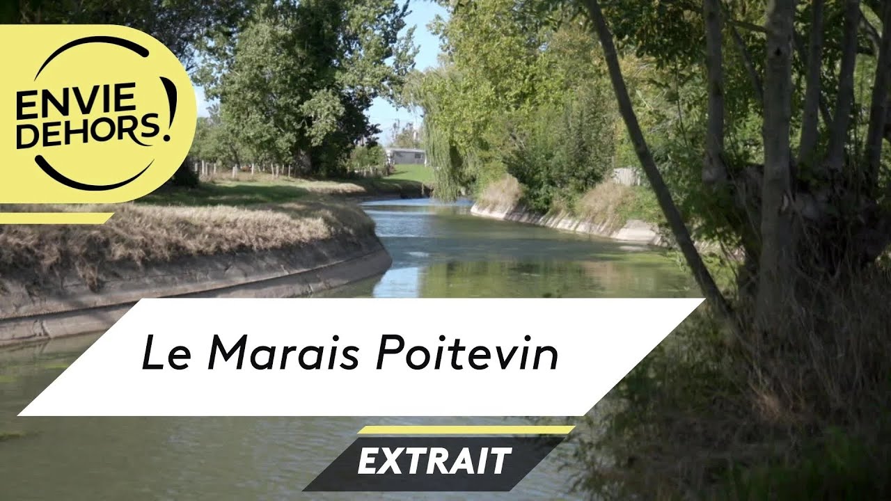 Maillé, entre marais mouillé et desséché [extrait Envie Dehors]
