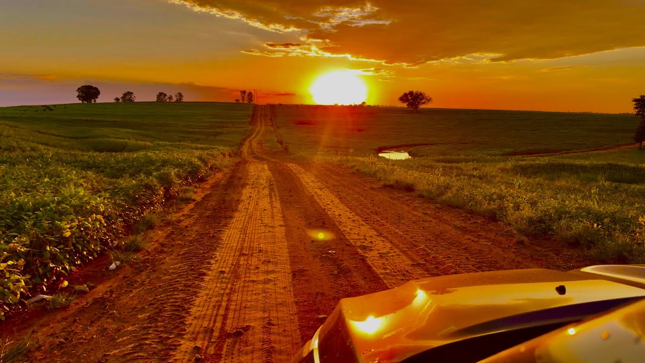 Saindo do rancho para ir para cidade com essas imagens lindas no fim de tarde…