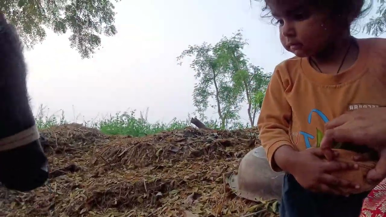 मेरे खेत में कितने सारे मटर🫛🥱मेरी भैंस केला खाती है🍌#volg#video