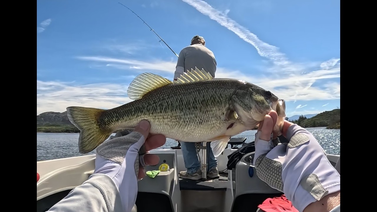 Lake Skinner 03 02 2026 25 fish day