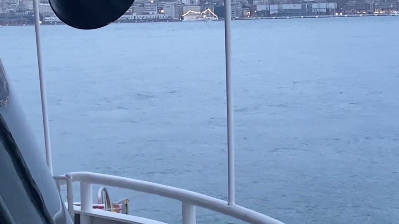 İSTANBUL’UN YUNUSLARI 