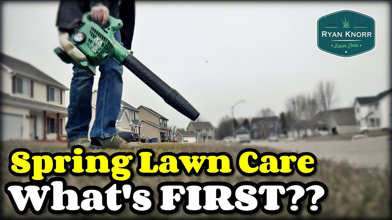 Spring Lawn Care - What To Do FIRST?