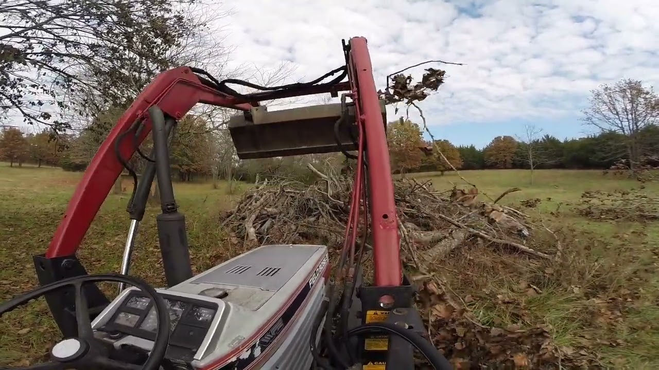 Tree Cleanup 2023 (From Spring Storms)