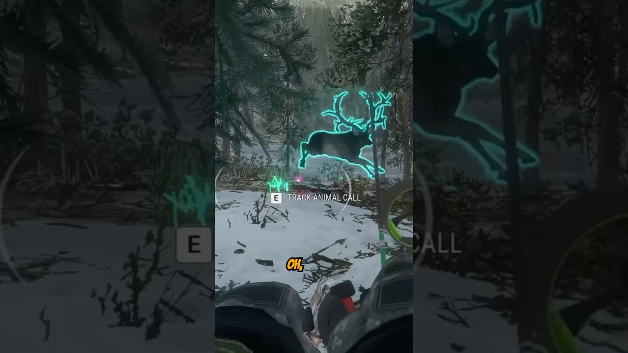 БЕЗУМНЫЙ КРУПНЫЙ ПЛАН, ВЕЛИКОЛЕПНЫЙ МУЛИ! #cotwgameplay #thehuntercotw #cotw