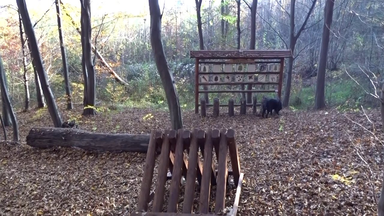 MAŁOPOLSKA❤️Ciekawe miejsce w okolicach Wygiełzowa i Zagórza.