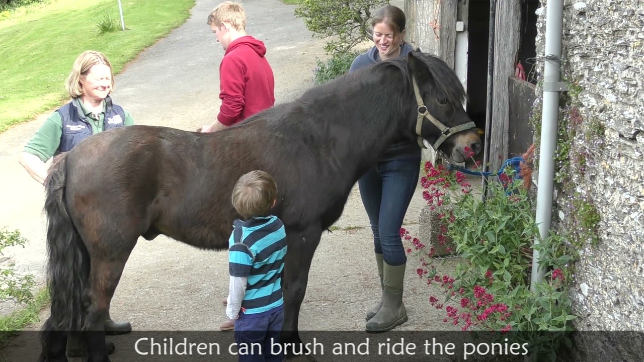 Bampfield Farm Cottages - Holidays in North Devon