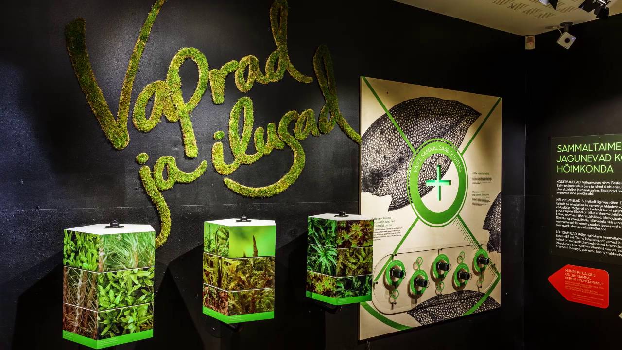 Eesti Loodusmuuseumi n&auml;itus  