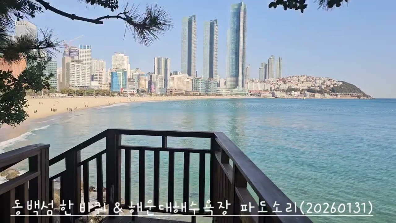 🍃 동백섬 한 바퀴 & 해운대해수욕장 파도소리..