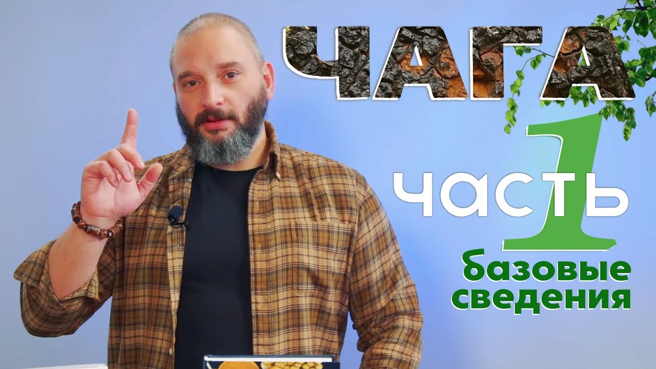 ЧАГА. Часть 1 • Базовые сведения