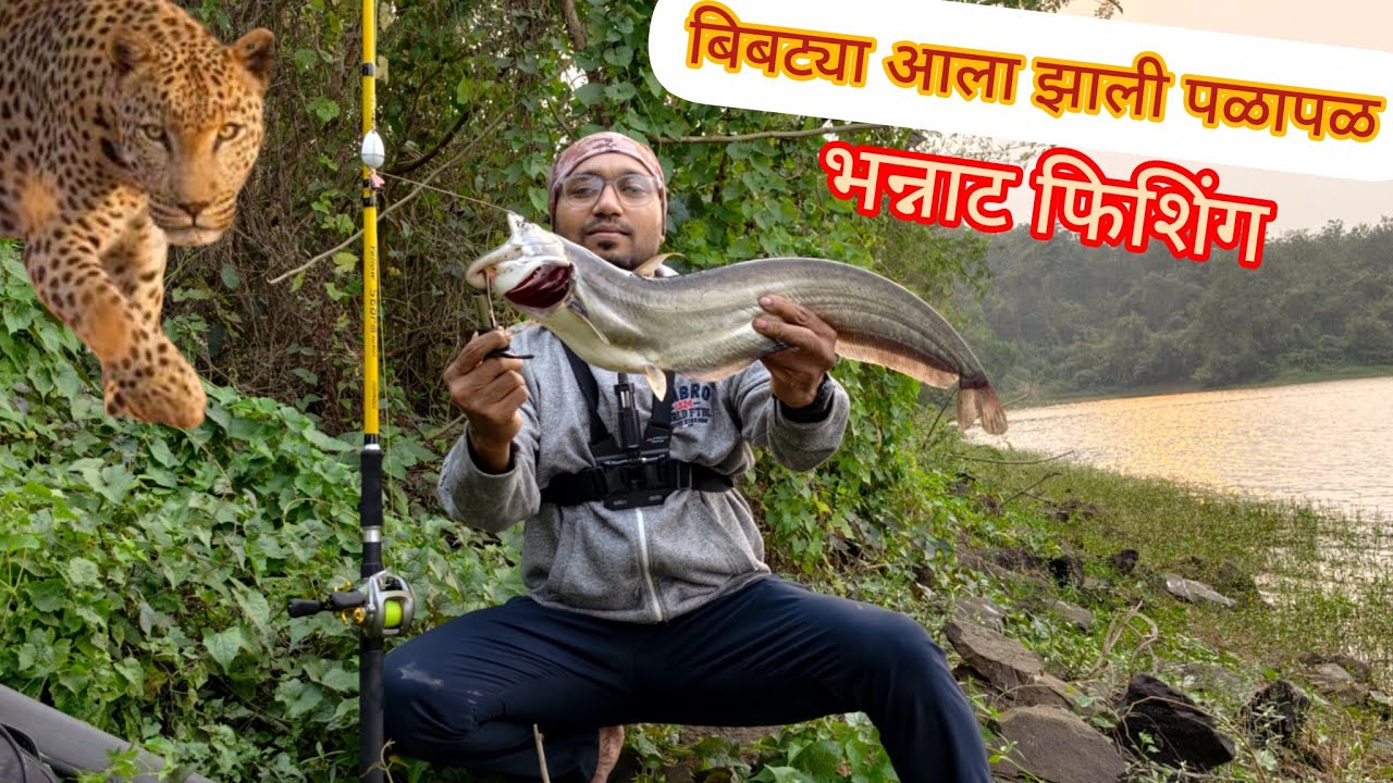 नवीन स्पॉट वर आला बिबट्या 😰 केली धमाल फिशिंग भेटले 4 मोठे शिवडे #fishing #vairalvideo 