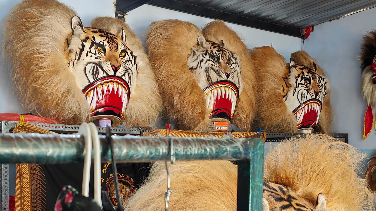 Последние новости о дворце Реог в 2025 году