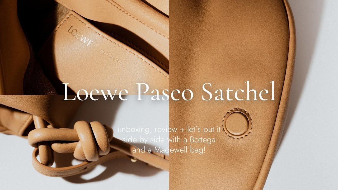 What is so special about Loewe Paseo Satchel?