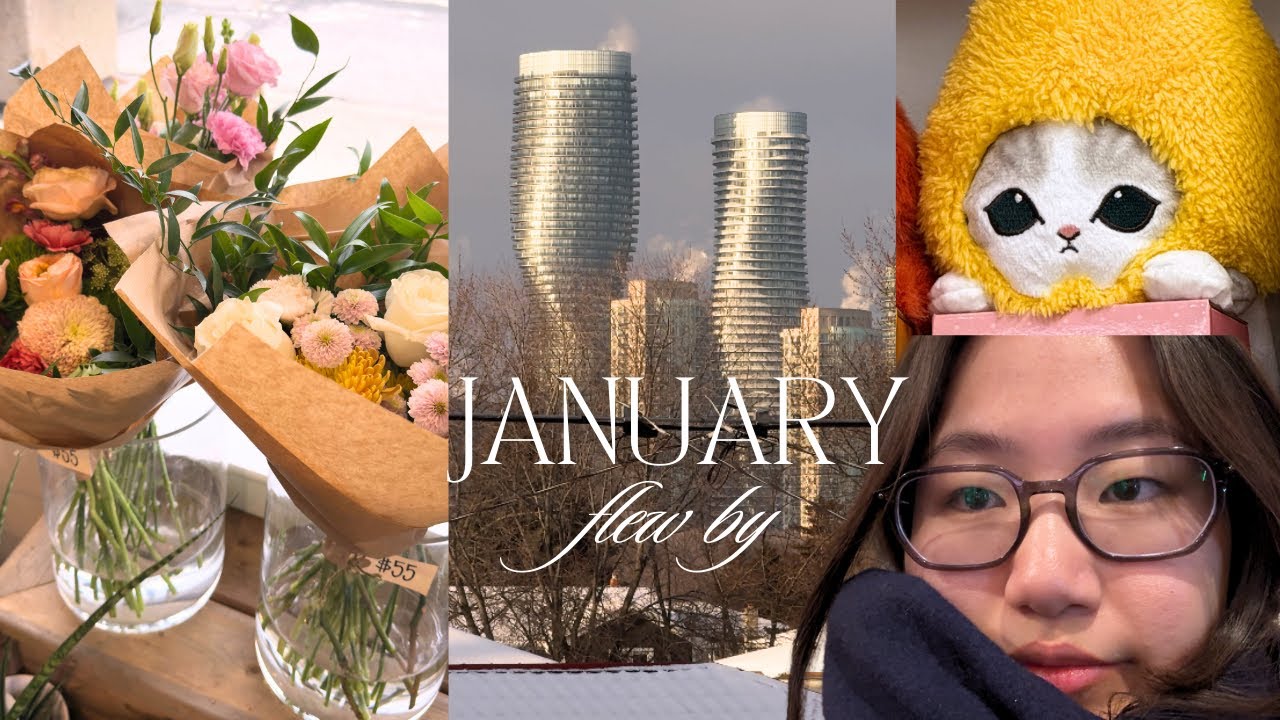 slow days in january | toronto diaries ~ tibetan vlogger