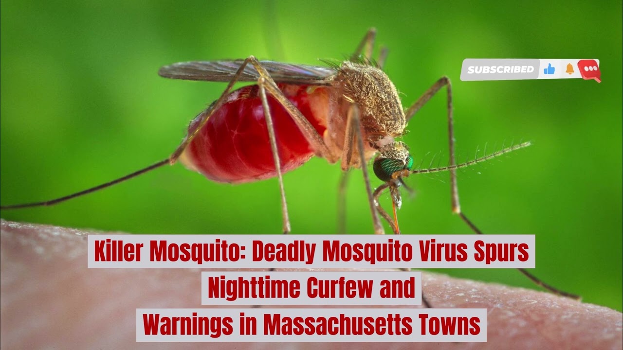 Killer Mosquito: Deadly Mosquito Virus Spurs Nighttime Curfew and Warnings in Massachusetts Towns