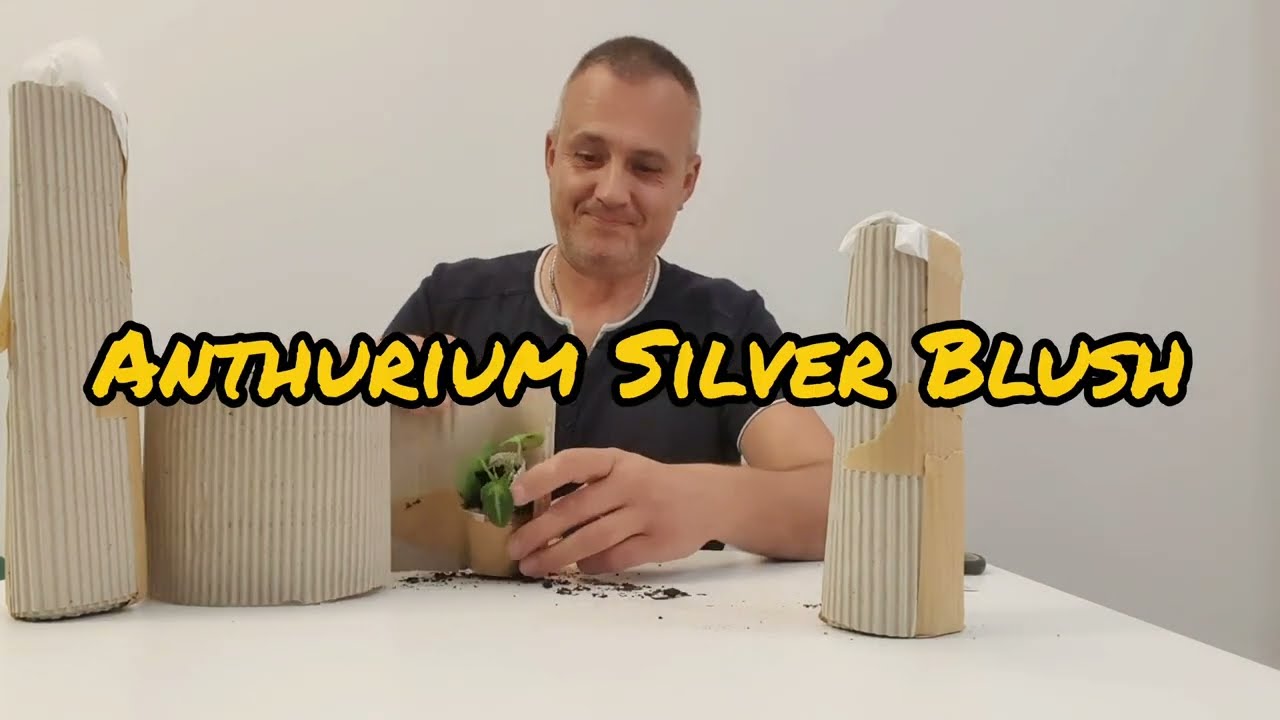 19. Czy warto zamawiać w Jungle Boogie? To był incydent czy norma?