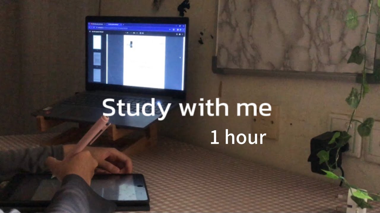 Study with me | 1 hour real time, raining background, bird chirping, no music background