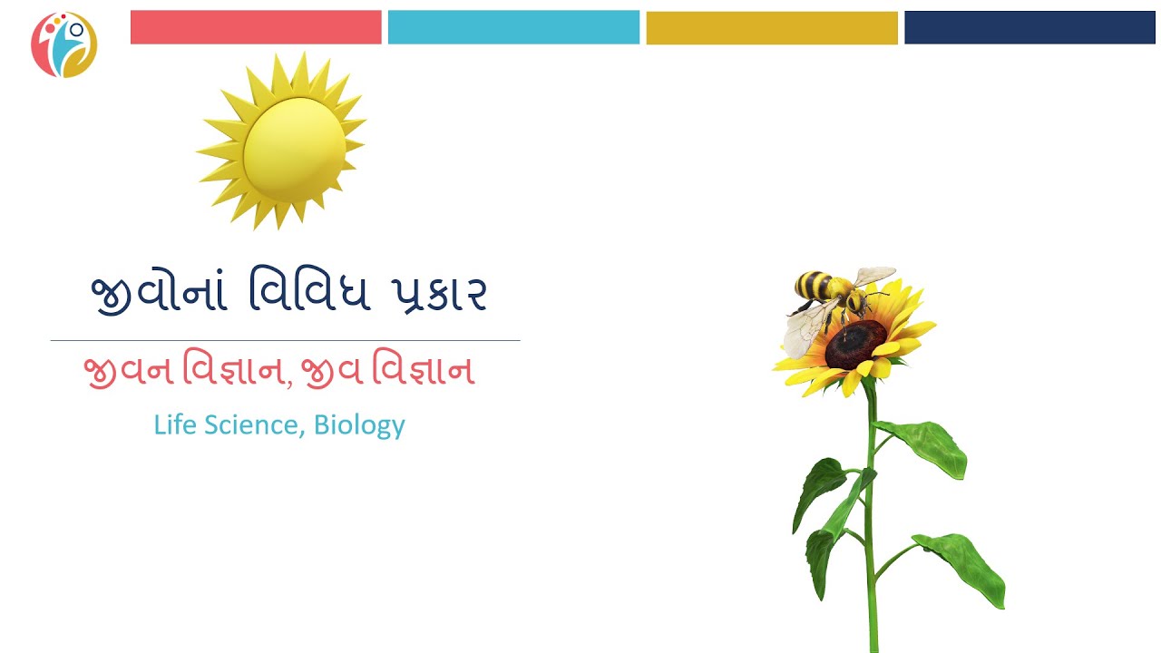જીવોના વિવિધ પ્રકાર (ગુજરાતી)