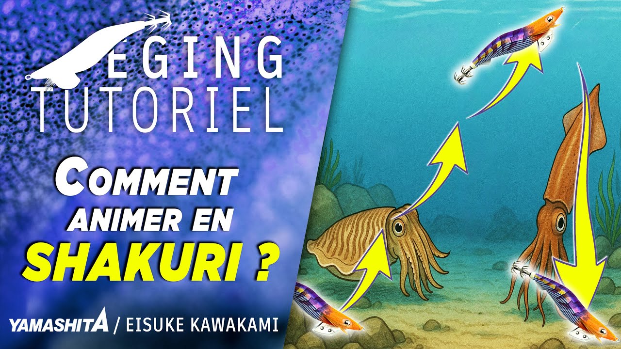 🎣 Animation : Le Shakuri - LA technique à connaître  🦑