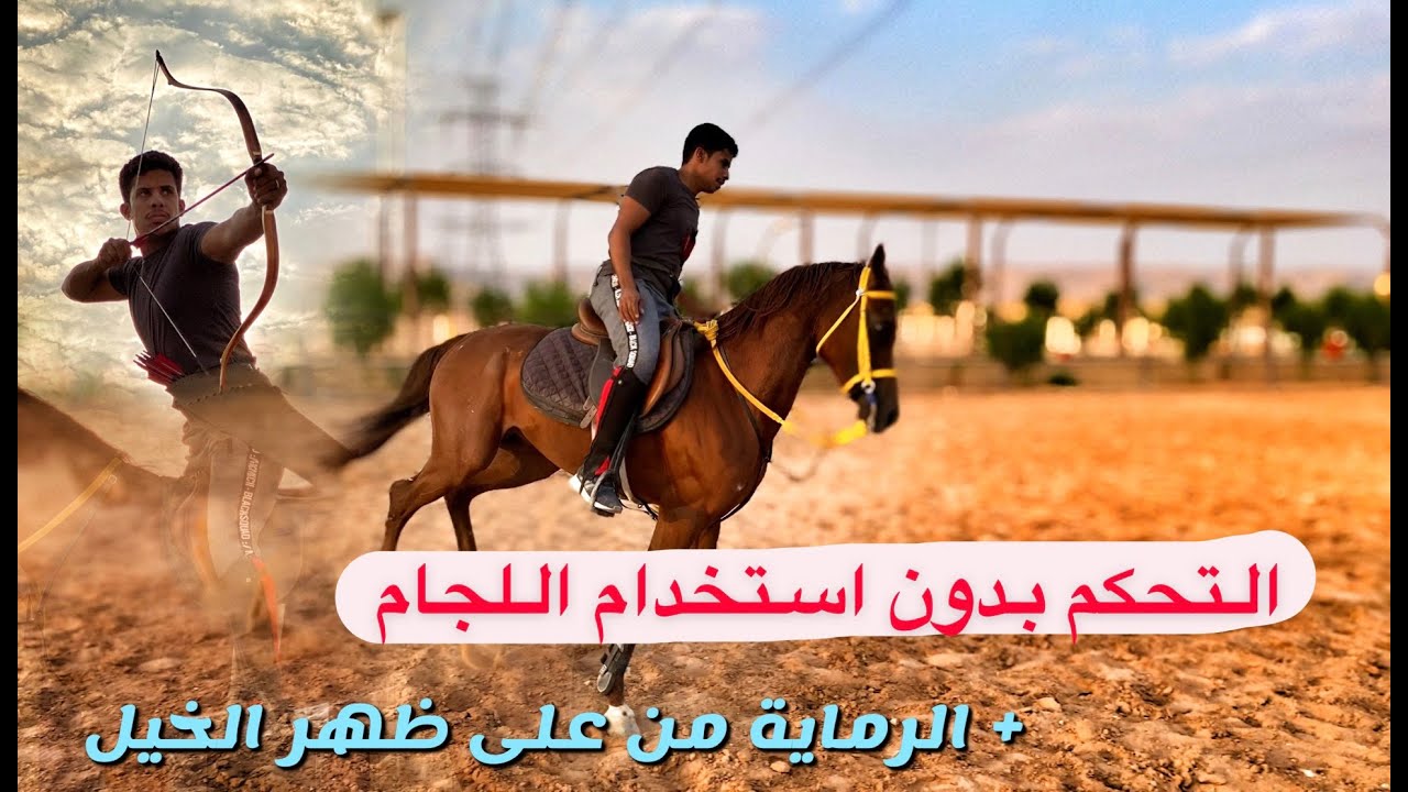 التحكم بدون استخدام اللجام والرماية على ظهر الخيل - مقطع ممتع 😍🏹 #حسان_الجهني