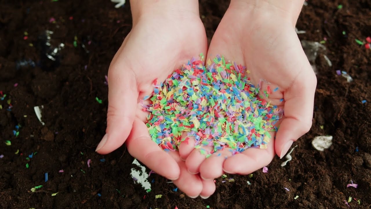 MAPP: il viaggio delle plastiche nel Fiume Po | 19/04/2024