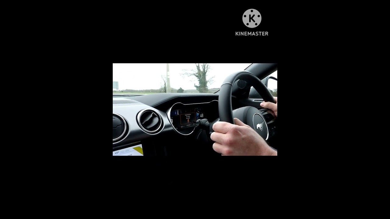 Ford Mustang Mach 1 Acceleration 🚀