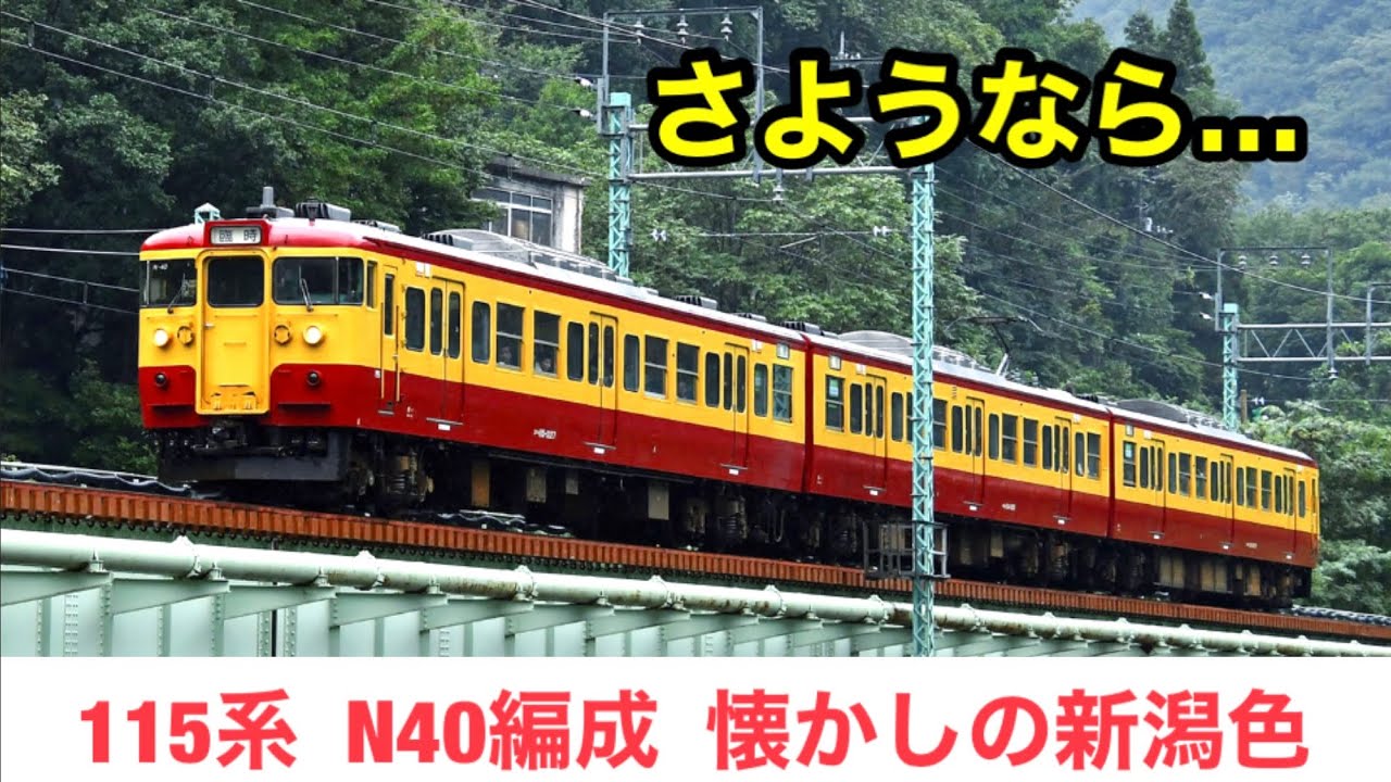 ありがとう115系 N40編成！新潟エリアでの活躍を振り返る