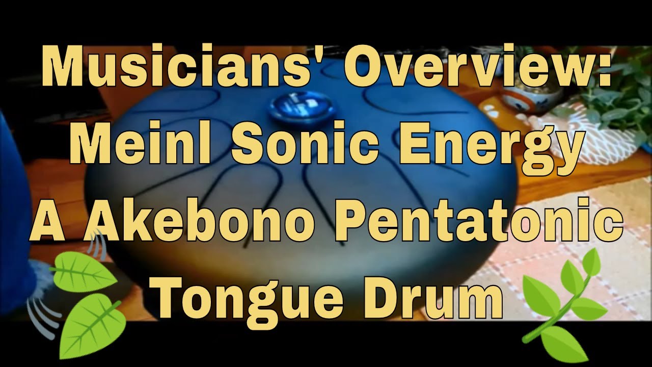Meinl Sonic Energy A Akebono Pentatonic Tongue Drum - Musicians' Overview