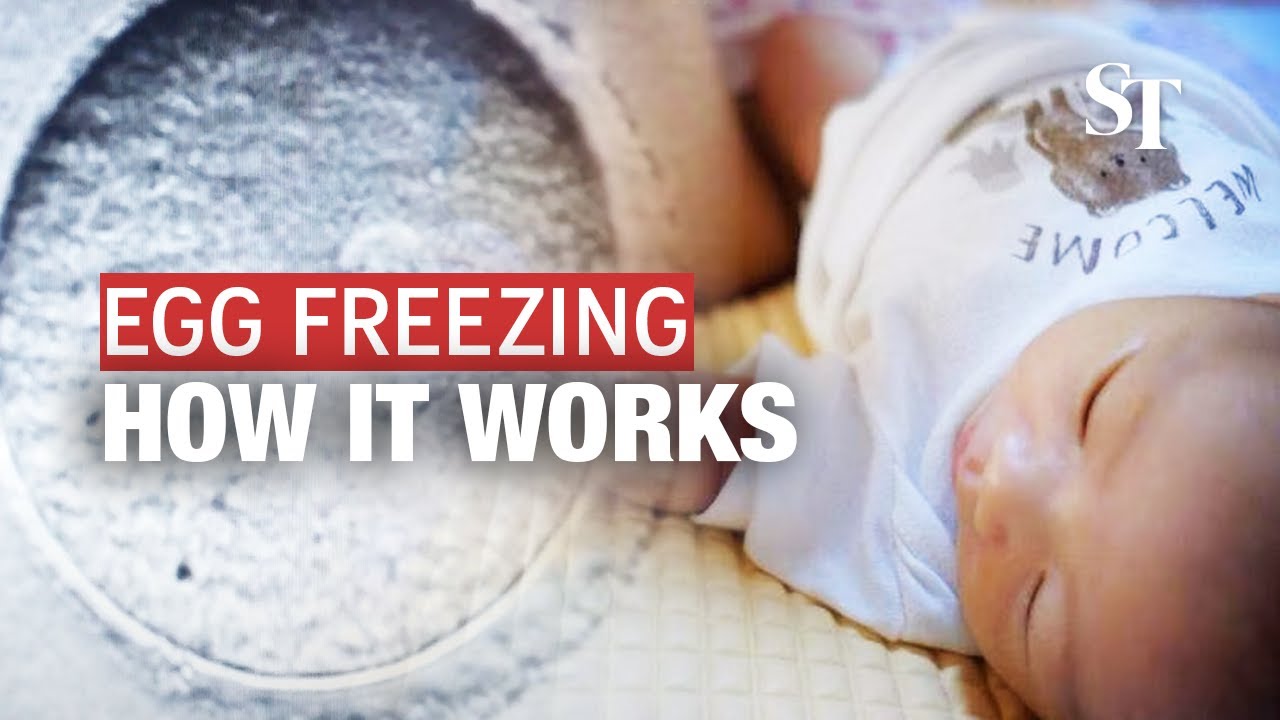 Ever wondered how egg freezing works? We break it down for you