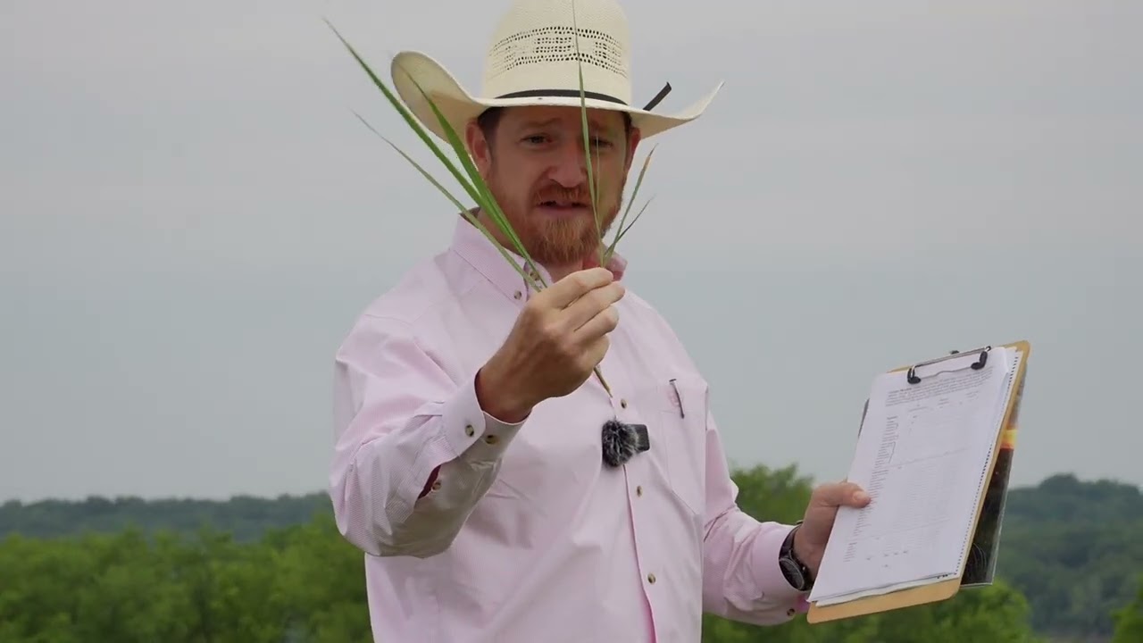 Range Judging + Plant ID (National Land & Range Judging Contest Prep)