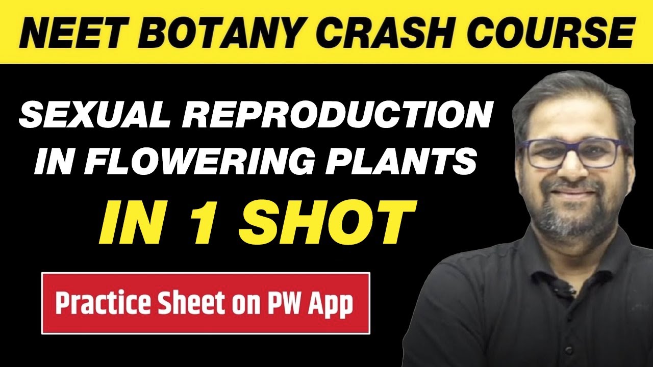 SEXUAL REPRODUCTION IN FLOWERING PLANTS in One Shot - All Theory & PYQs | Class 12 | NEET