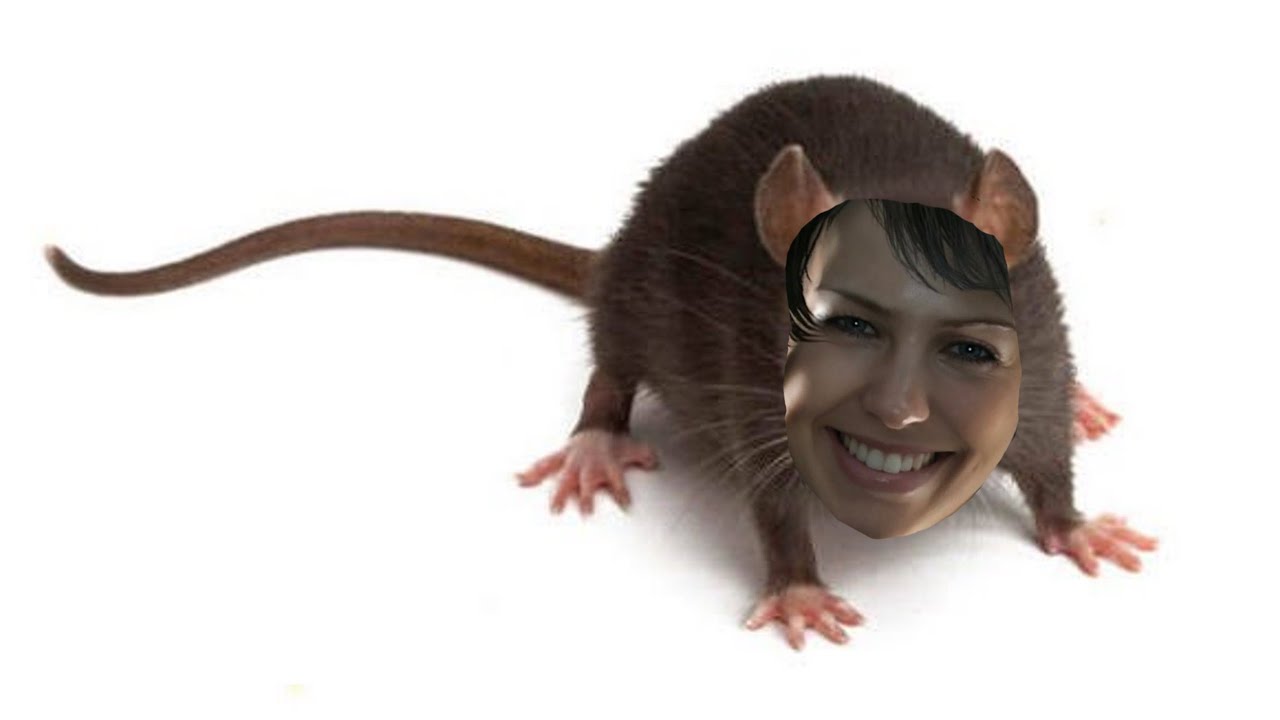 EventHorizon the ultimate rat(EW/AWH/Quiet/Macro/rage quit)