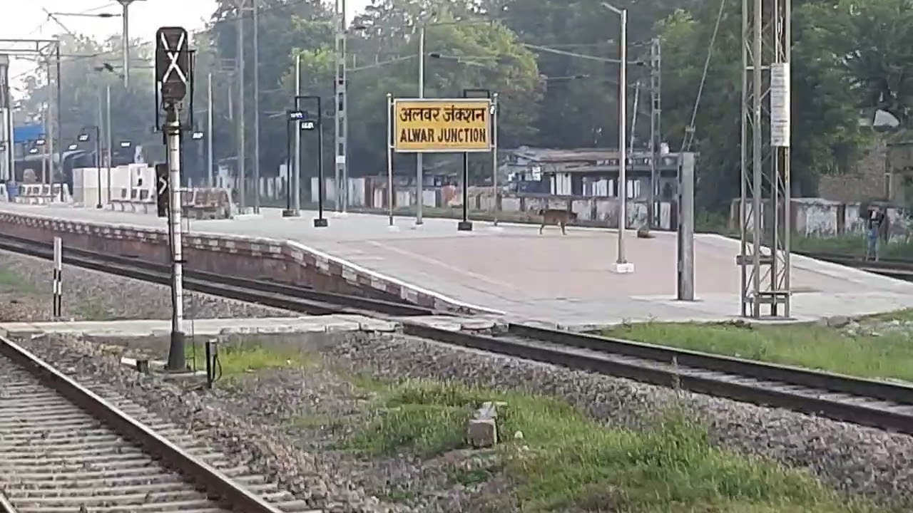 09579 ICF (Utkrisht) Rajkot Delhi Special || Alwar Junction || Indian Railways