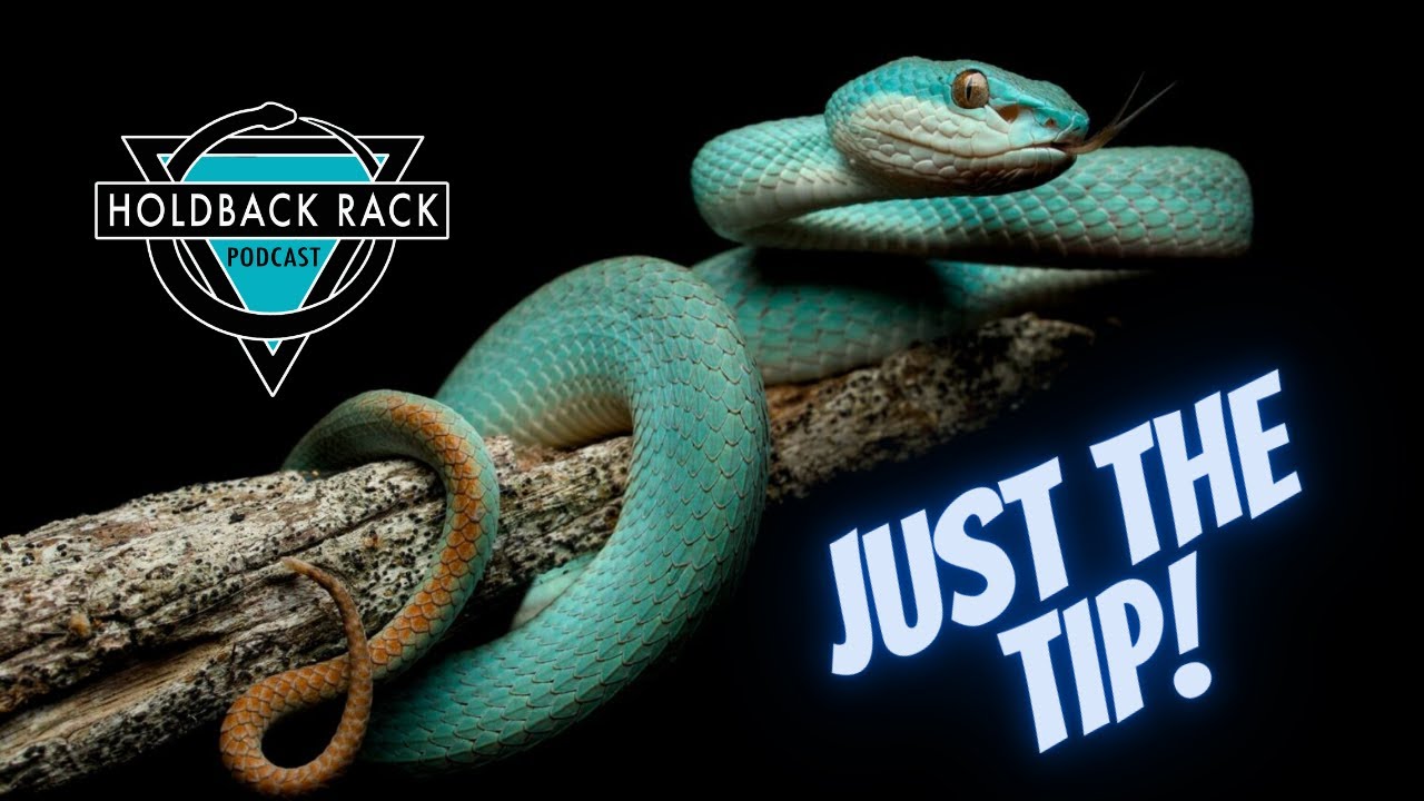 HRP 219 - Just the Tip PT. 1: (6) OR (7) Non-conventional Reptile Breeding Tips W/ Shane Kelley