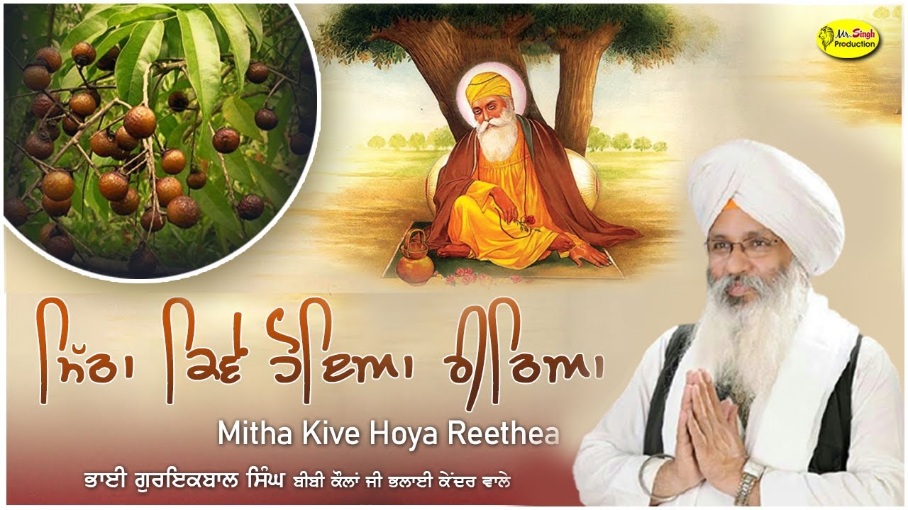 ਮਿੱਠਾ ਕਿਵੇਂ ਹੋਇਆ ਰੀਠਿਆ | Mitha Kive Hoya Reetheya | Bhai Guriqbal Singh Ji Bibi Kaulan Wale Amritsar
