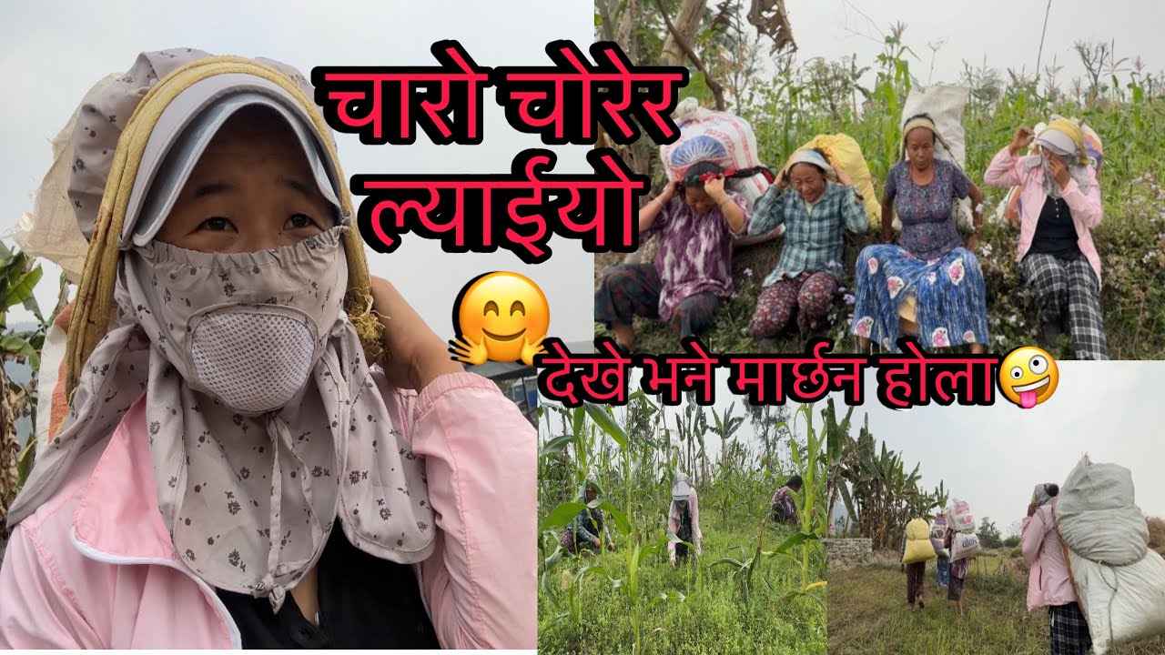 चारो चोरेर ल्याईयो देखे भने मार्छन होला🤪भागूम🏃‍♀️🏃full video hernuhola 🙏