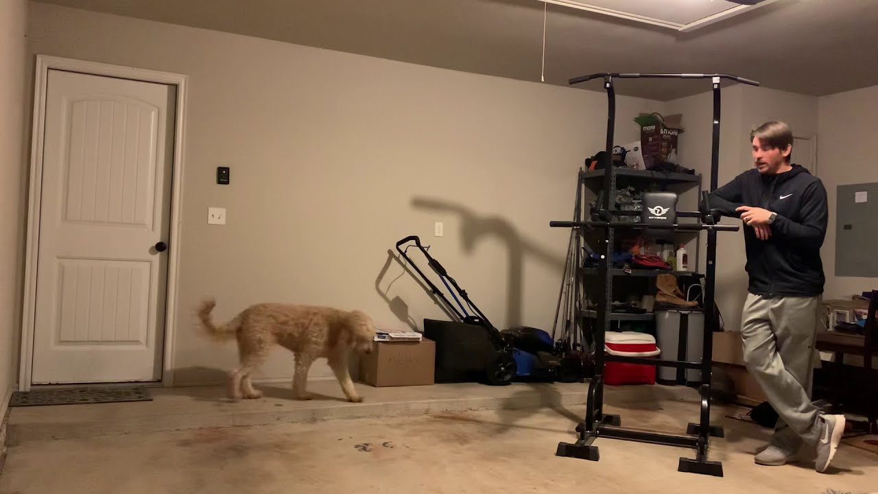 Honest Review of My Power Tower | City Birds Power Tower | Why You Should Own One | See Description