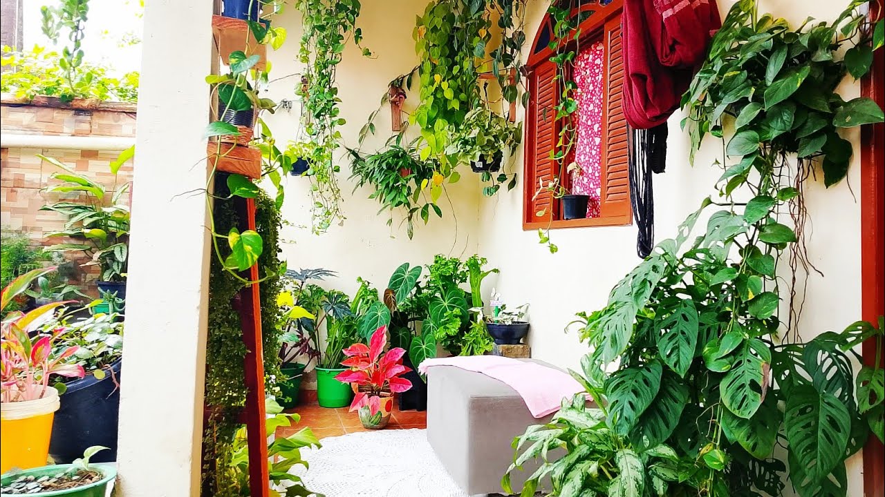🍄EXPLOSÃO DE CORES 🍀MINHAS PLANTAS ESTÃO LINDAS NA VARANDA, VAMOS VÊ ELAS COMIGO ?
