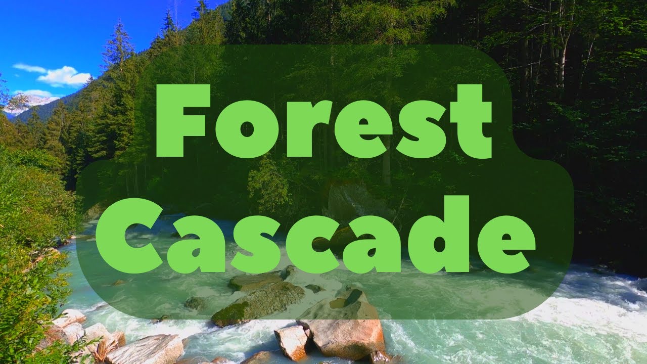 Forest Cascade | relaxing & yoga music
