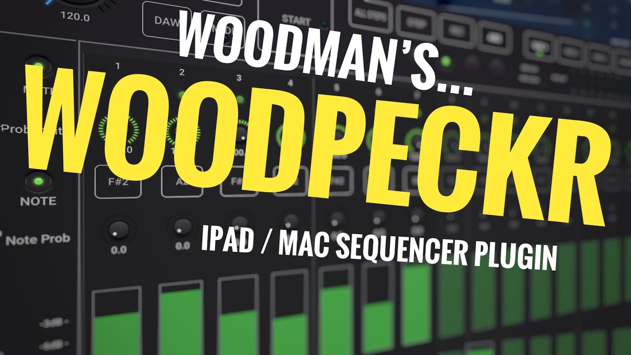 Woodpeckr / Woodpecker by Woodman’s / Wims Studio // Powerful Midi Sequencer App / Plugin 