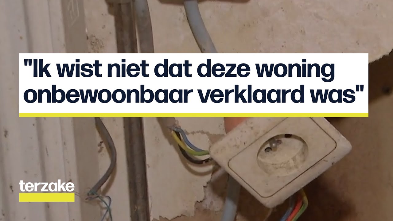 Kakkerlakken en waterlekken, dit is goedkoop huren in Brussel | Terzake