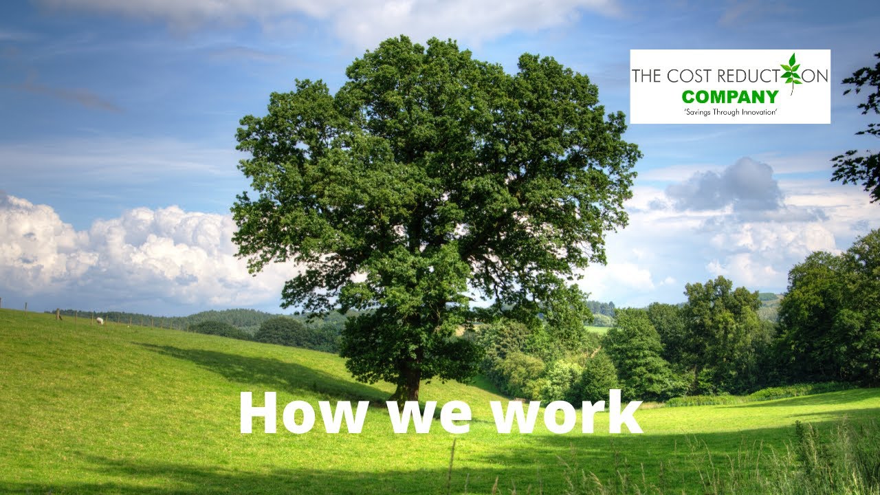 The Cost Reduction Company - How we work
