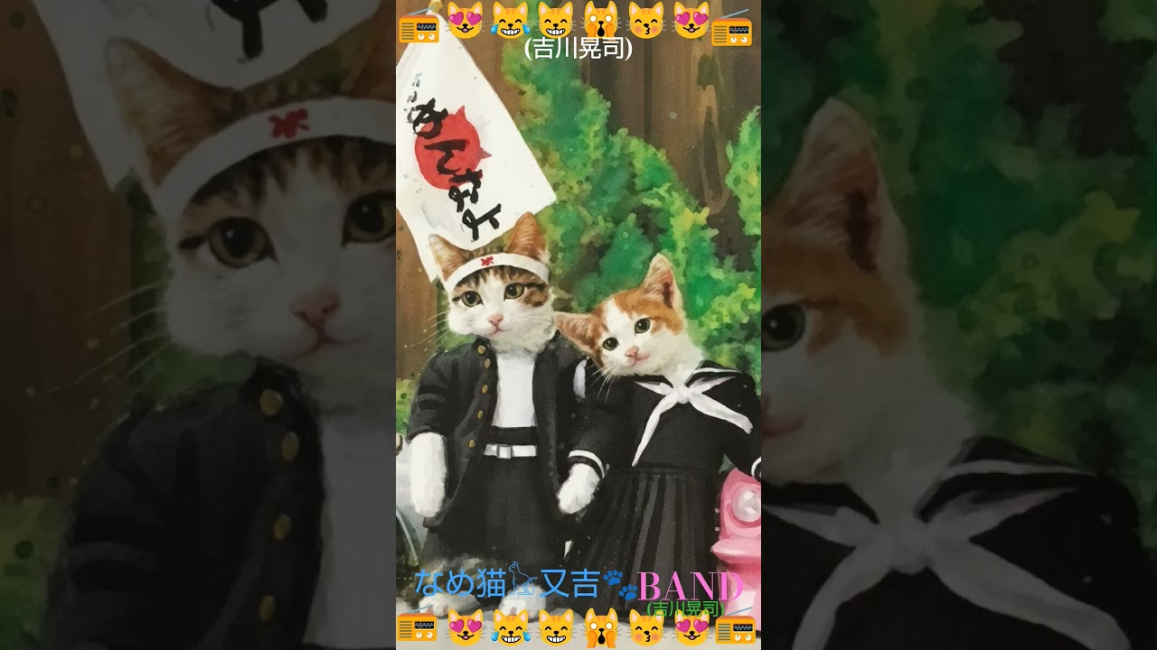 🌹📻🎼✨令和なめ猫😻又吉✨🎶📻🥀(⁠吉川晃司)Channel登録いいね👍️よろしくお願いします🙇🙏👍🏻📲🆗🤗🙀