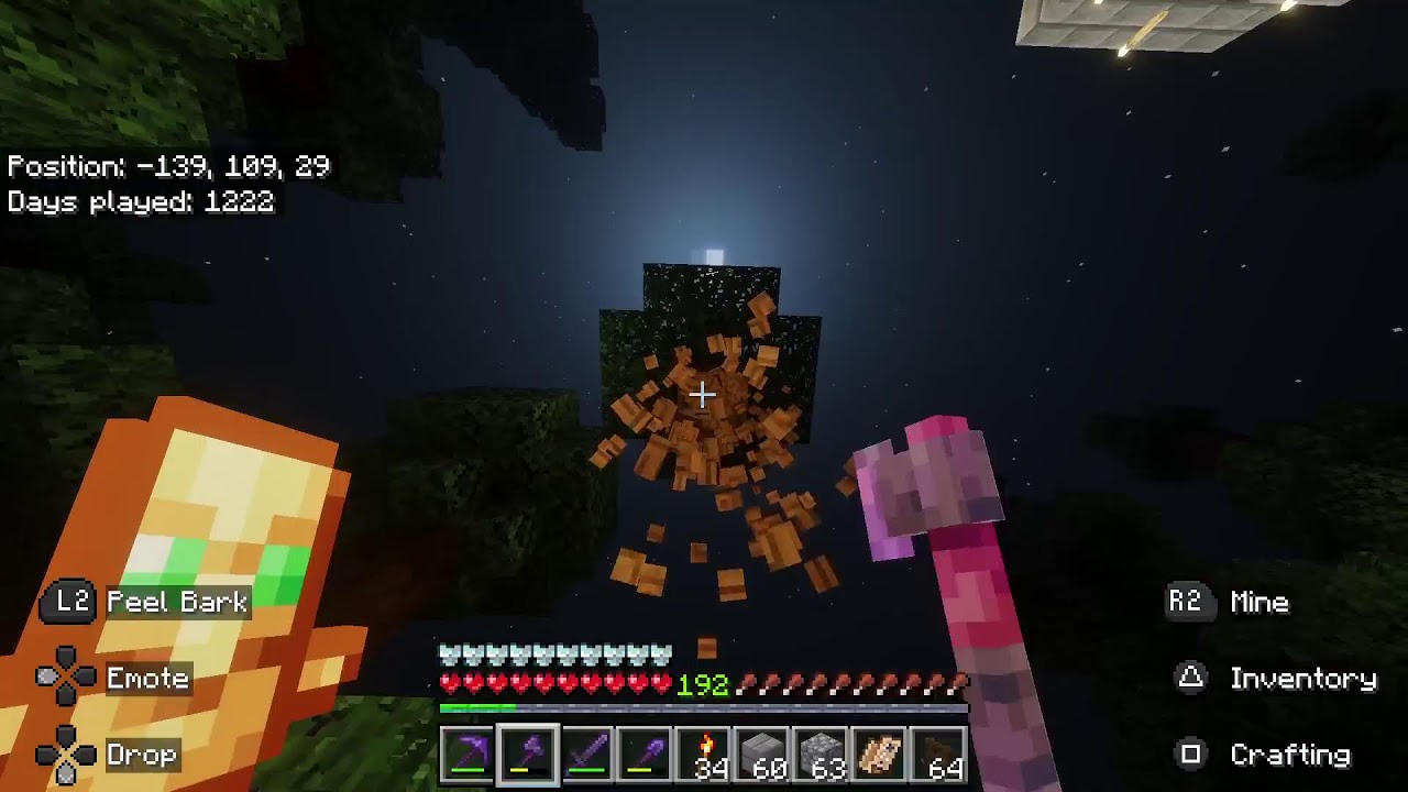 Minecraft Survival